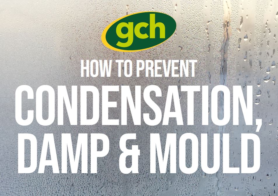 Condensation, Damp and Mould image