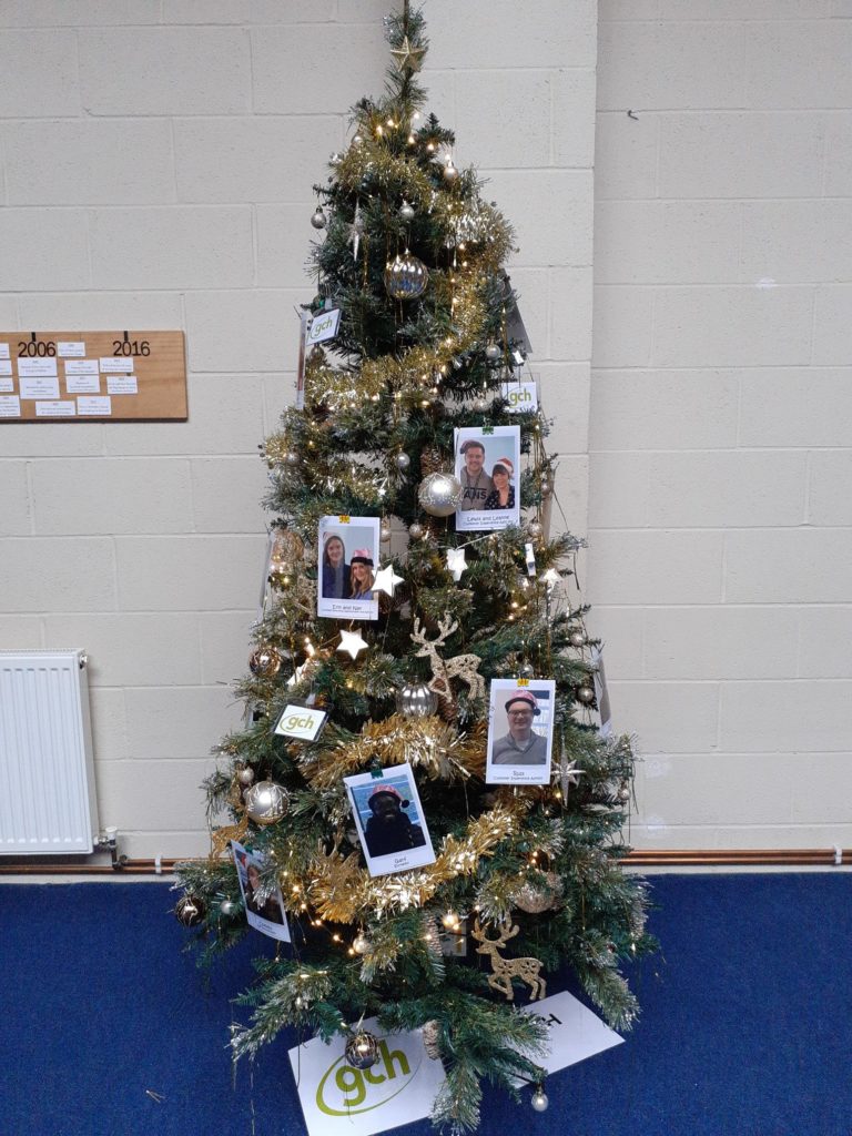 Matson Community Christmas Tree Festival