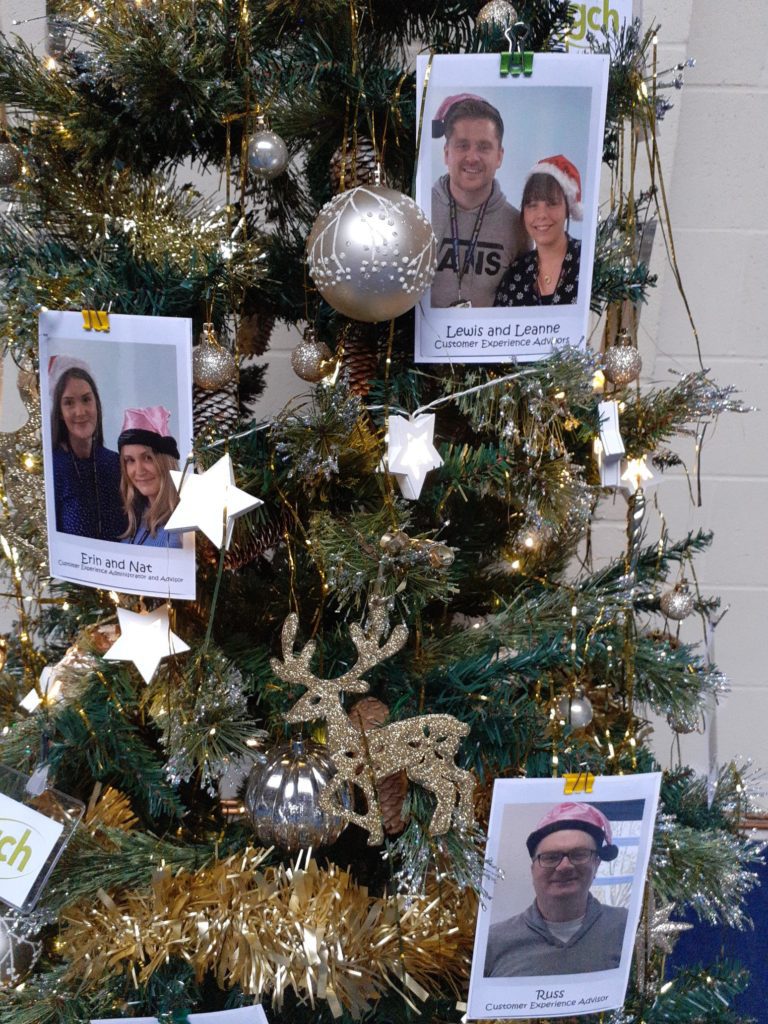 Matson Community Christmas Tree Festival