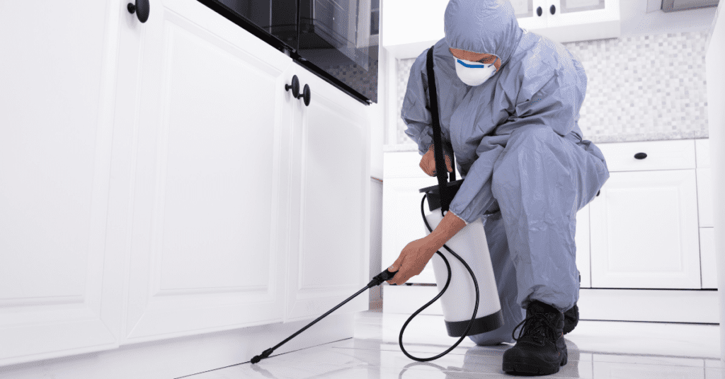 Pest control officer wearing protective suit spraying under kitchen cupboards