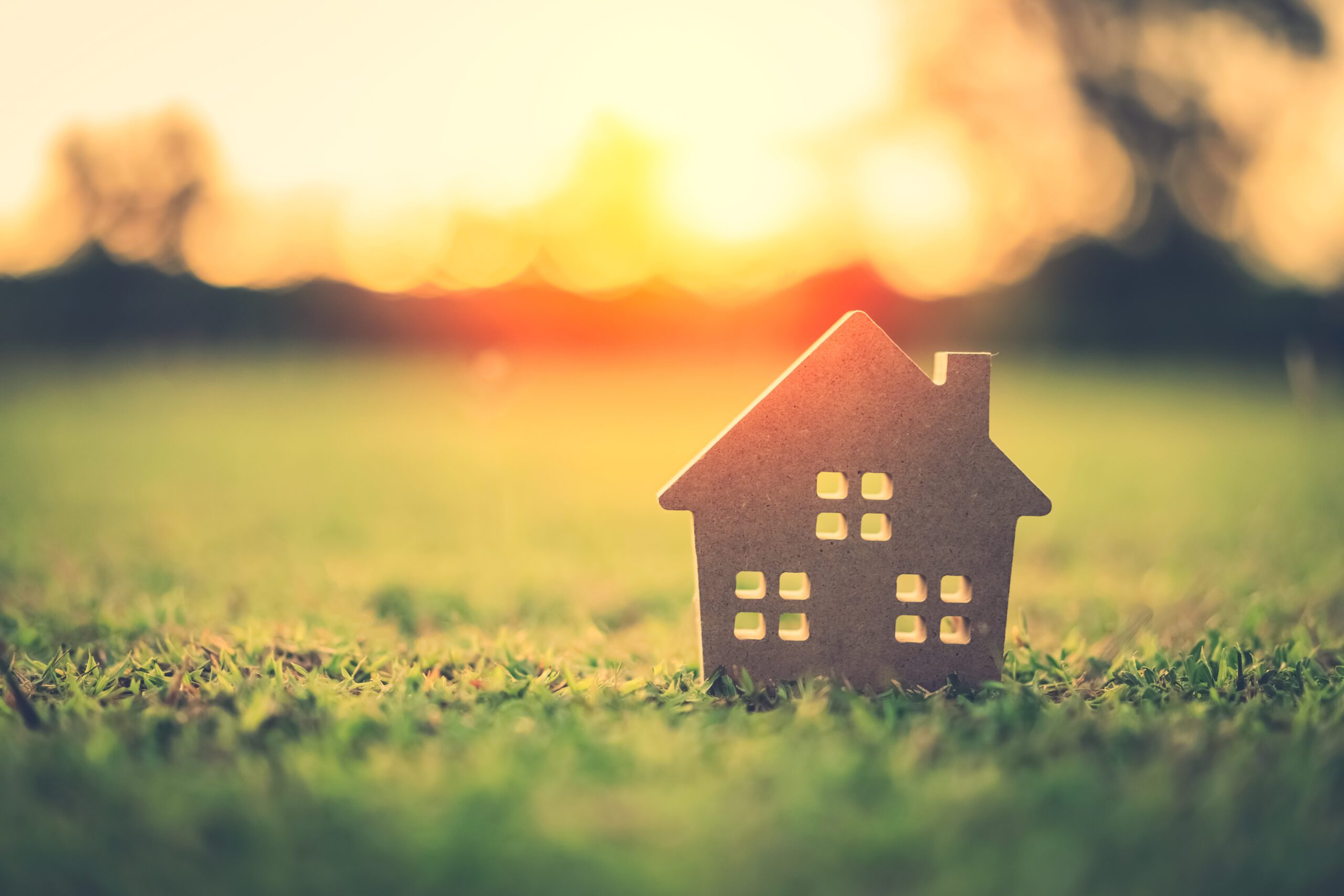 small model home on green grass