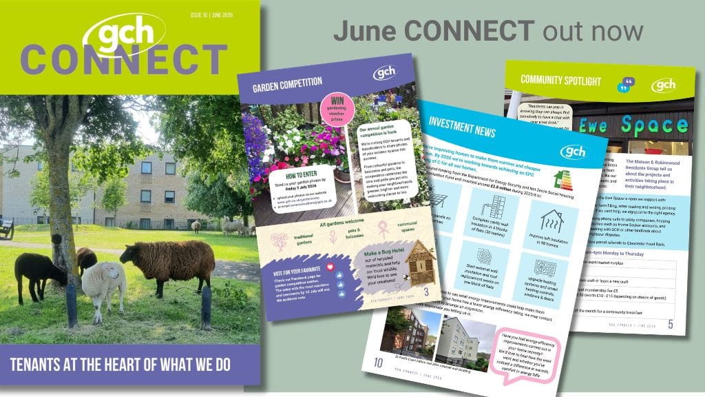 June issue of Connect out now!