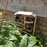 Marissa Organ (Highly Commended Best Bug Hotel)
